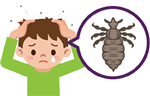 LIce 